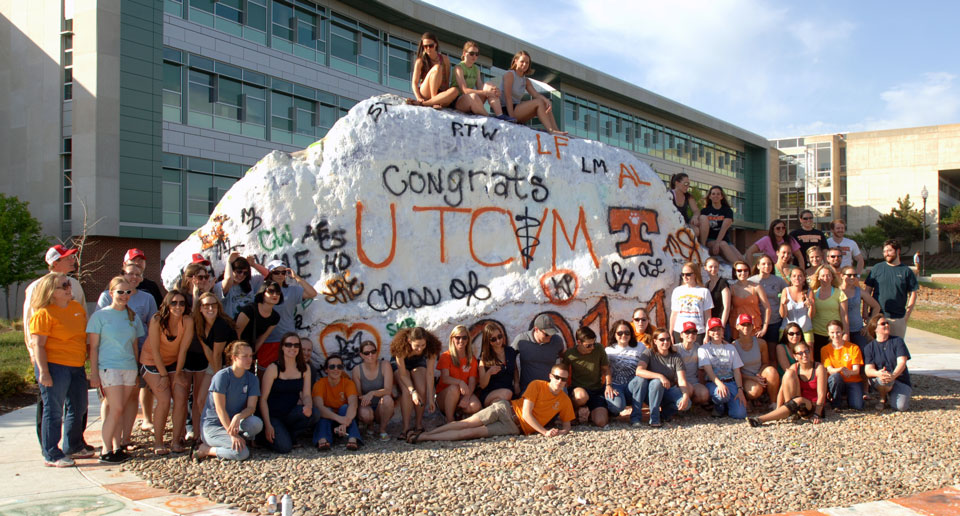 The UT College of Veterinary Medicine Class of 2014 painted the Rock