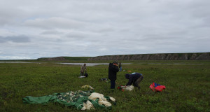 The team members Nikita Demidov, Andrey Abramov (first row from left to right), Denis Shmelev, and Victor Sorokovikov (second row from left to right) started to unpack field camp supplies and set up the field camp. Photo by Tatiana A. Vishnivetskaya
