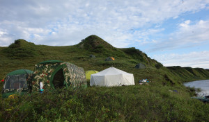 A view of the field camp set up on the right bank of Alazeya River from one side. Photo by Tatiana A. Visnivetskaya