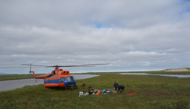 Arrival to the field site on Alazeya River in the end of July 2015. Photo by Tatiana A. Visnivetskaya