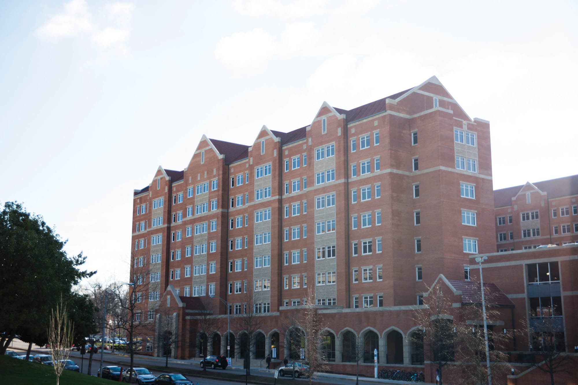 Stokely Hall seen here on March 2, 2017. (Rae Sturm / University of Tennessee)