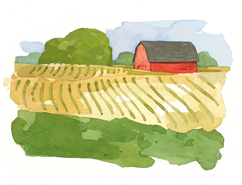 illustration of a barn and a farm field