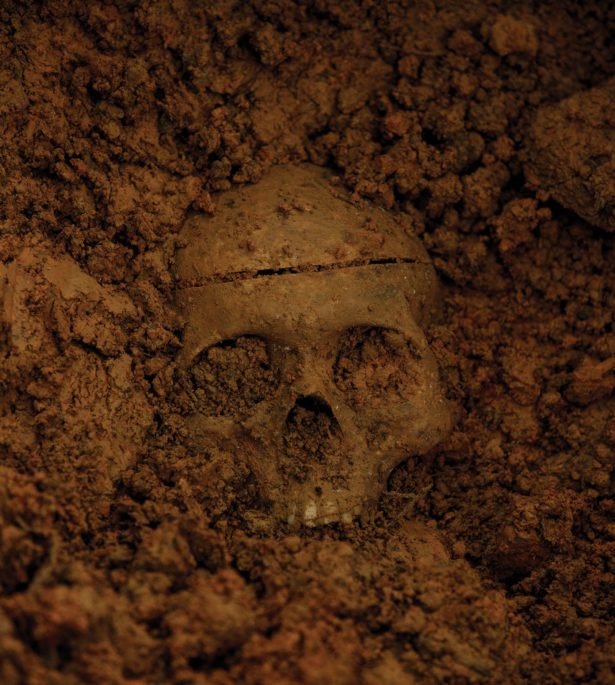 skull buried in dirt