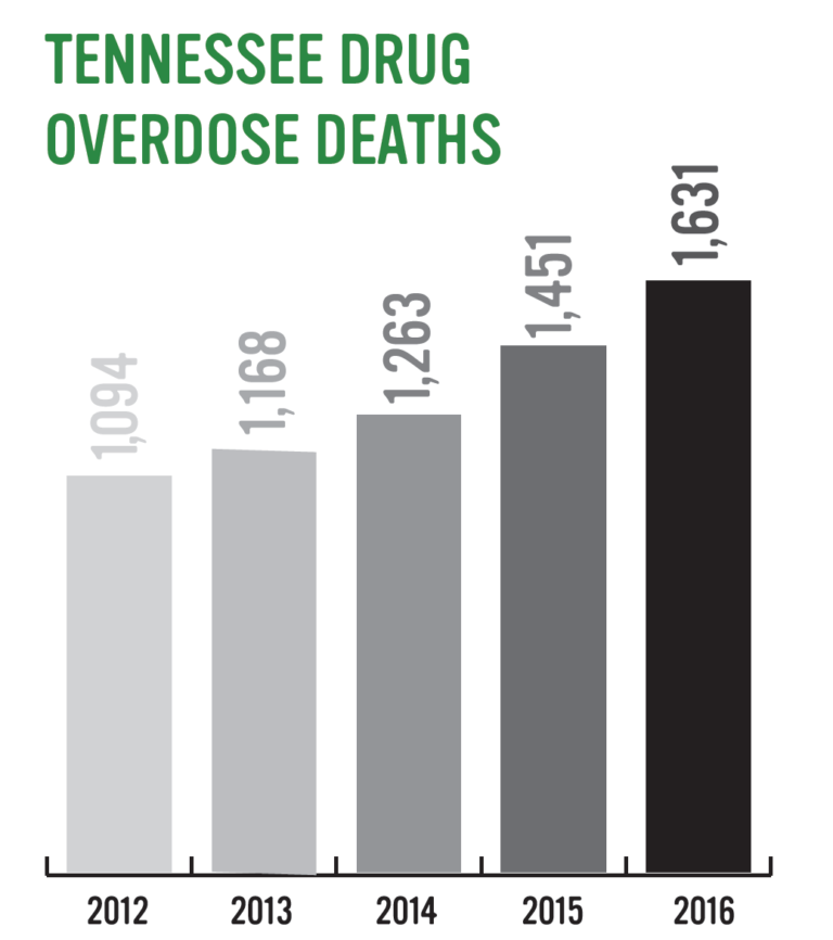 Each year the total number of drug overdose deaths increases