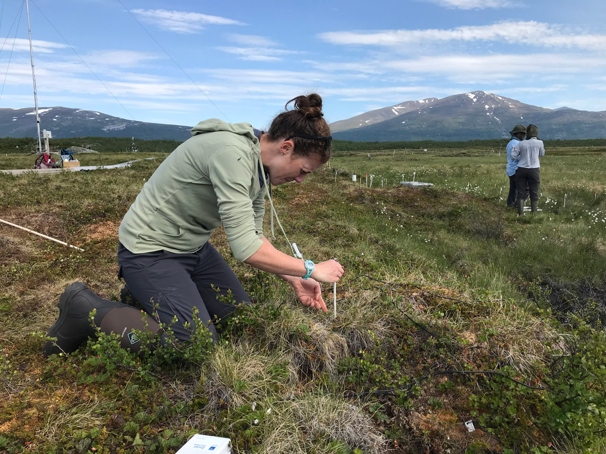 Elizabeth Herndon conducts field research in northern Sweden